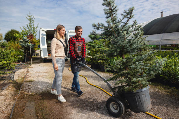 Best Dead Tree Removal  in USA